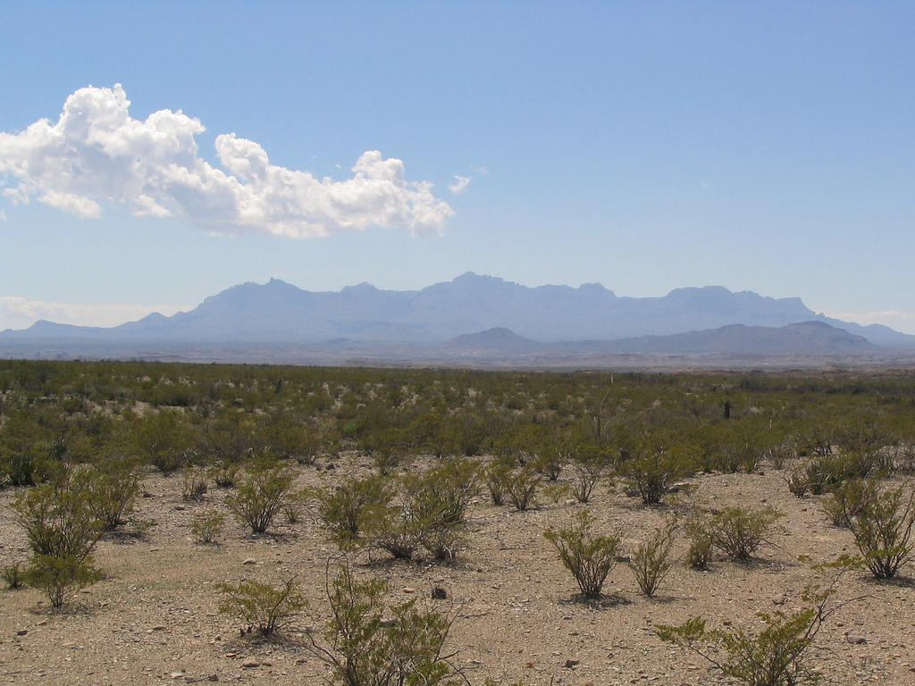 Chisos Mountains from Dagger Flat, Big B by Ken Lund, on Flickr