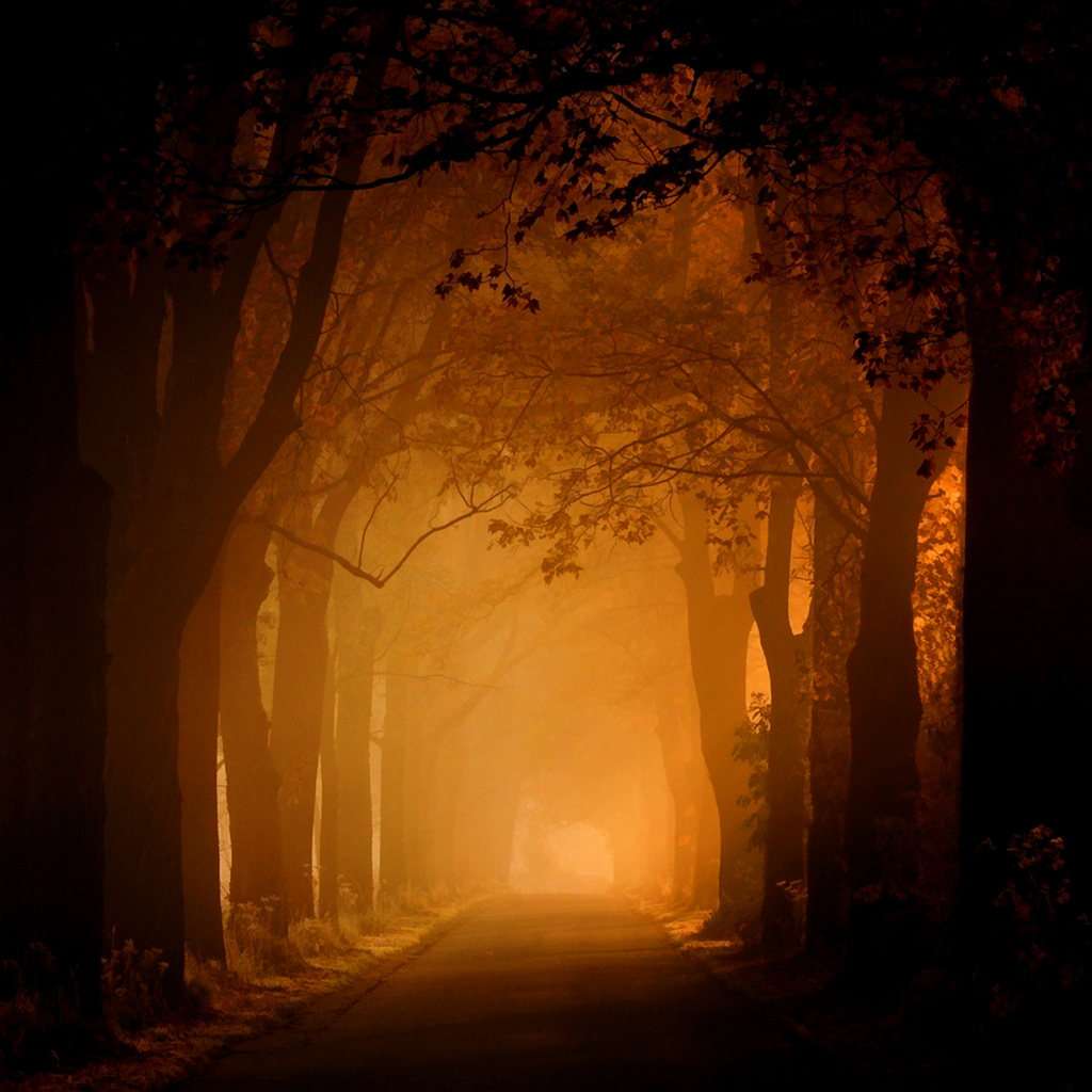 Golden Haze by Brett Jordan, on Flickr