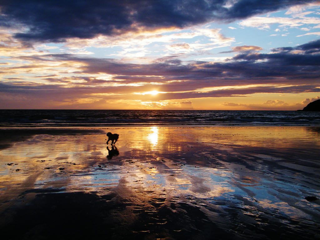 Beach Sunset by pink_pixie21, on Flickr