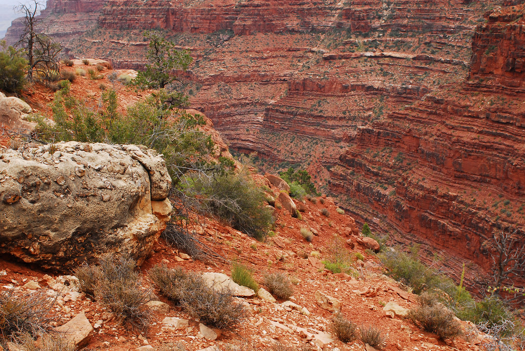 Grand Canyon National Park: Supai Group by Grand Canyon NPS, on Flickr