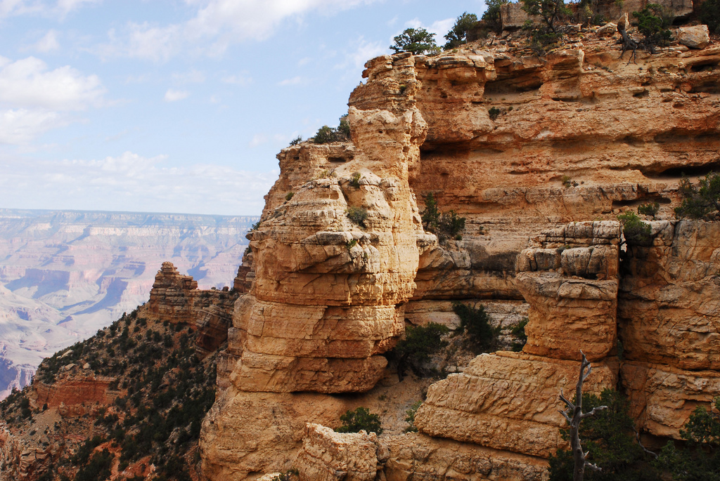Grand Canyon National Park- The Kaibab f by Grand Canyon NPS, on Flickr