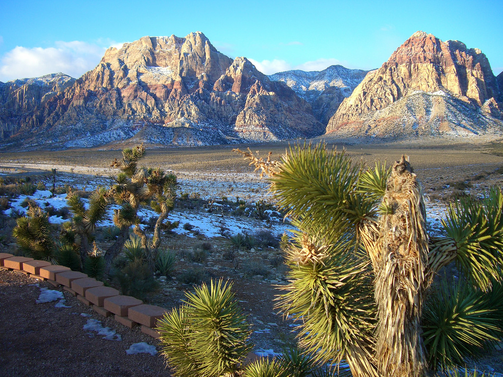 BLM Winter Bucket List #15: Red Rock Can by mypubliclands, on Flickr