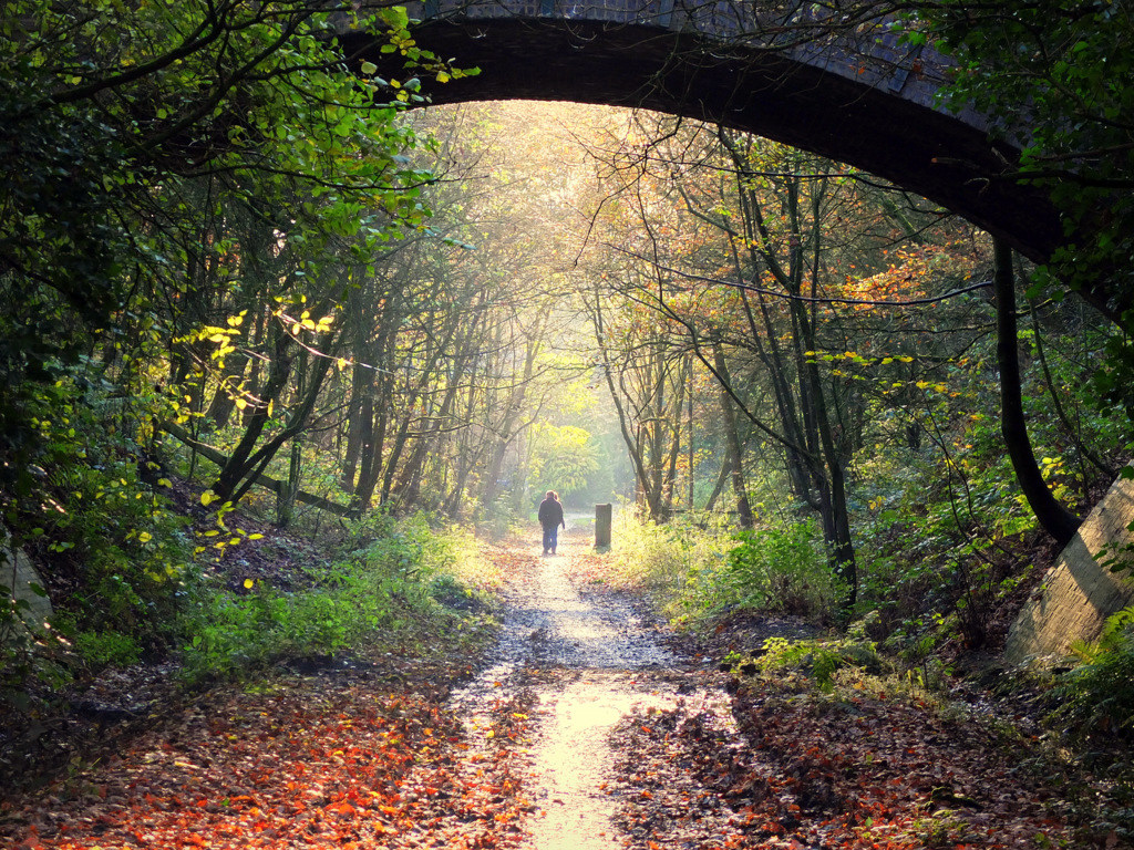 Autumn in the shire by @artnabart, on Flickr