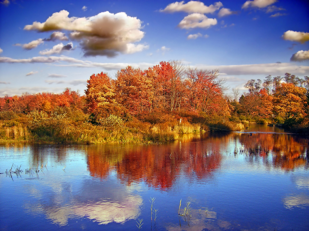 83 Images Of Fall Foliage Winter Is Coming Infinite World Wonders