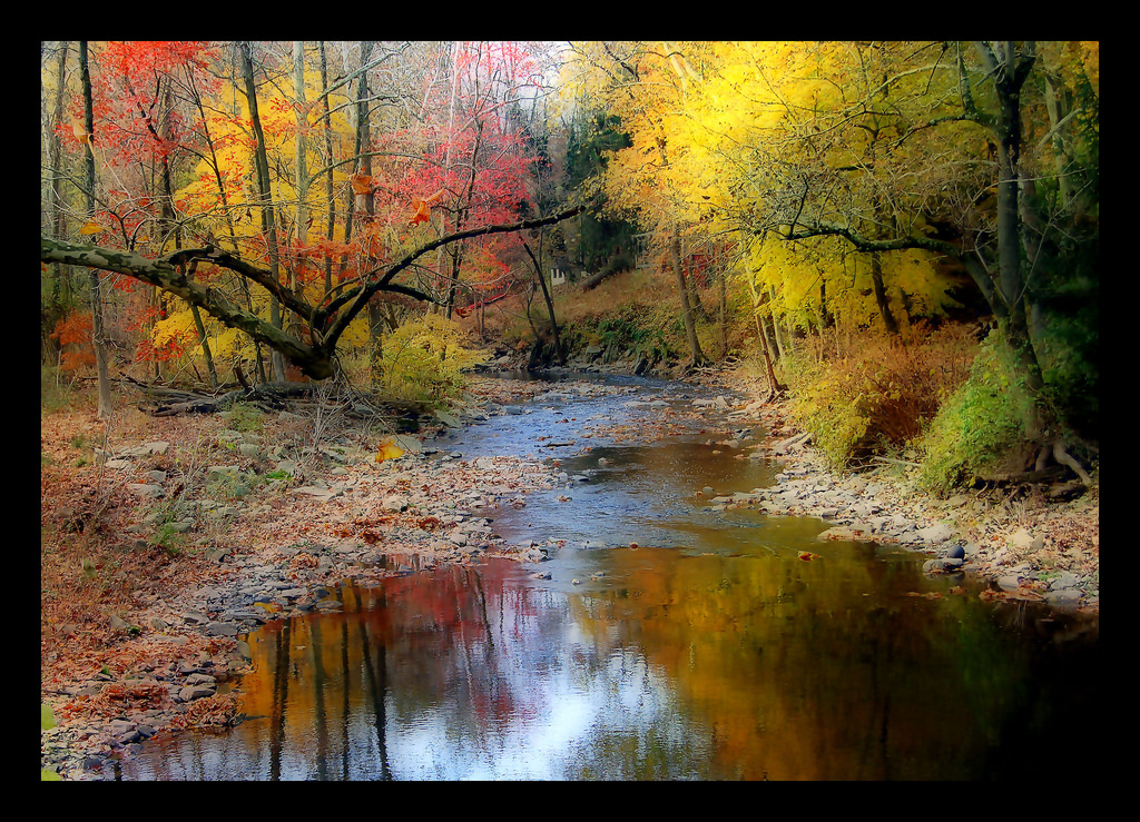 Autumn Stream by digitalART2, on Flickr