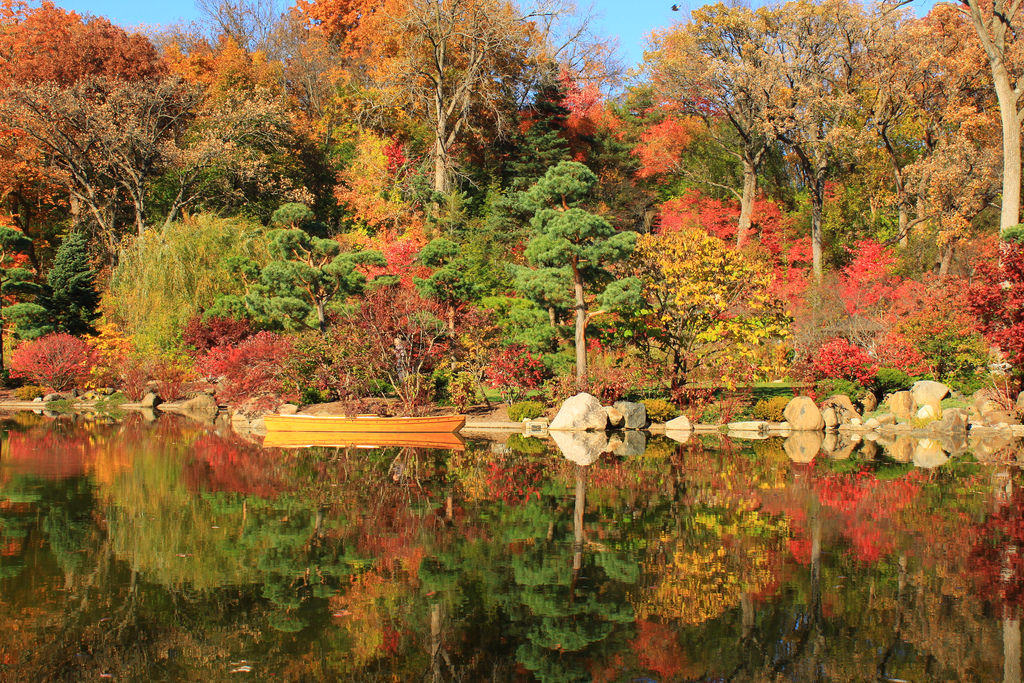 Fall Color Reflections by gabepopa, on Flickr