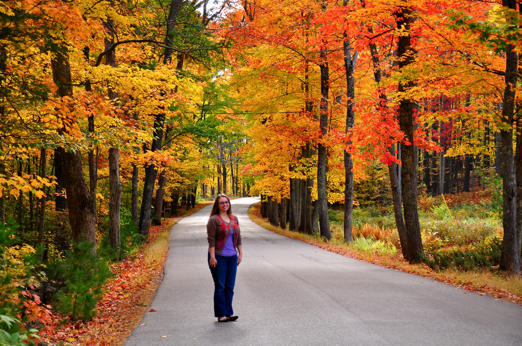 Fall Foliage by kimberlykv, on Flickr