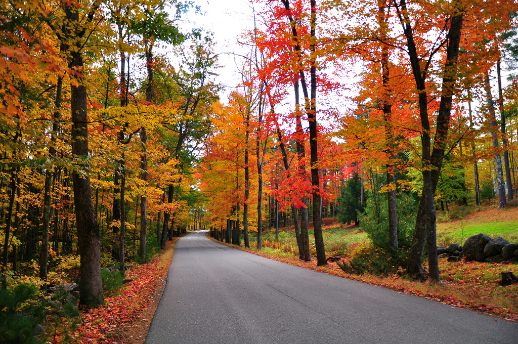 Fall Foliage by kimberlykv, on Flickr