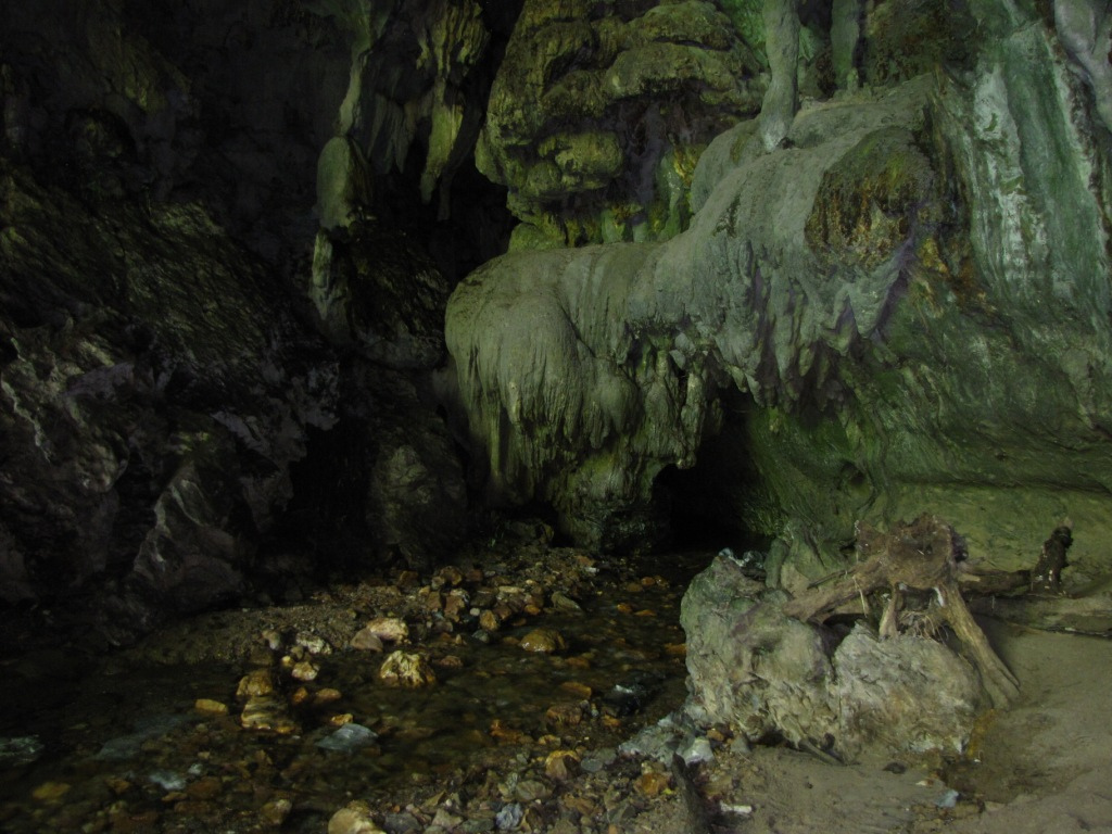 Cueva de los guácharos by Alejandro Bayer, on Flickr