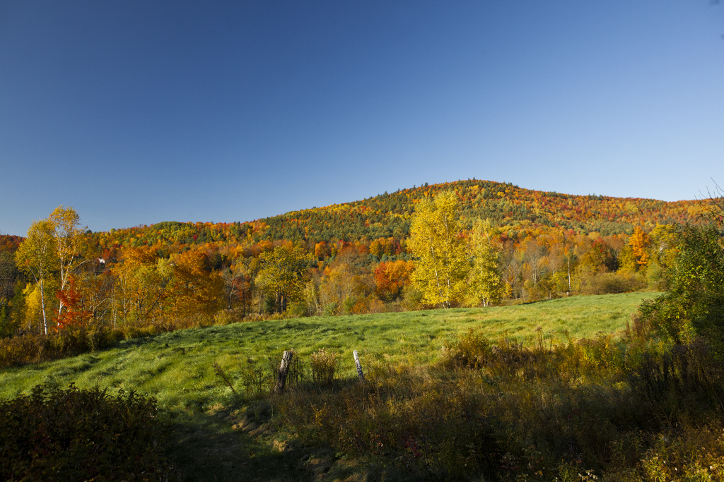 Fall Foliage trip to New Hampshire 2011 by Anthony Quintano, on Flickr